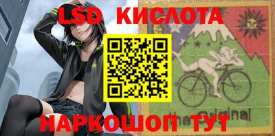 шишки Усть-Илимск