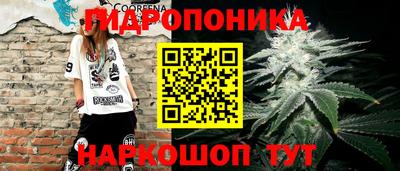 шишки Усть-Илимск