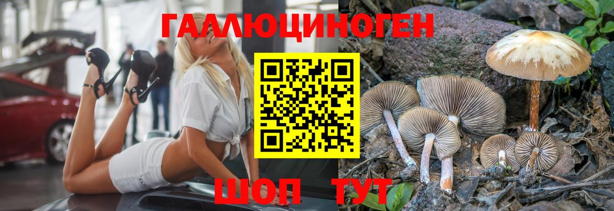 Галлюциногенные грибы Magic Shrooms Белебей